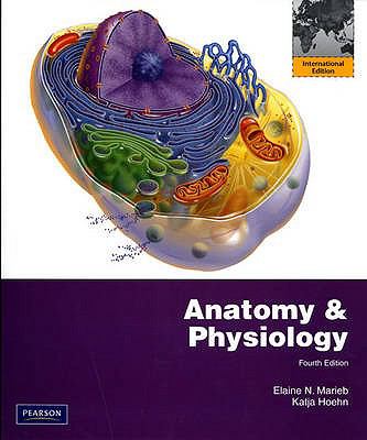 Anatomy & Physiology 4th Edition