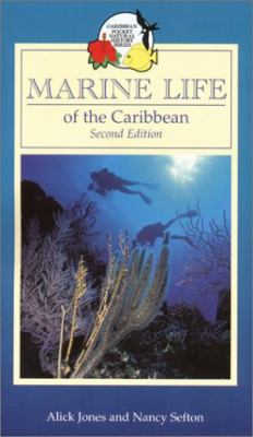 Marine Life of the Caribbean