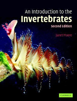 Introduction to the Invertebrates