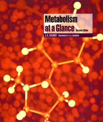 Metabolism at a Glance