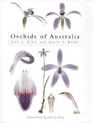 Orchids of Australia