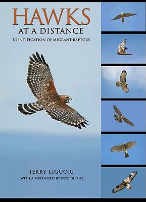 Hawks at a Distance: Identification of Migrant Raptors