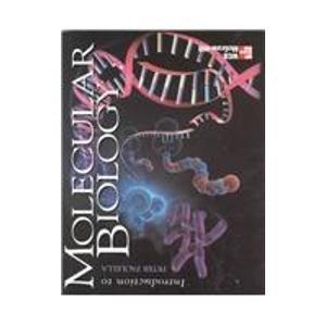 Introduction to Molecular Biology