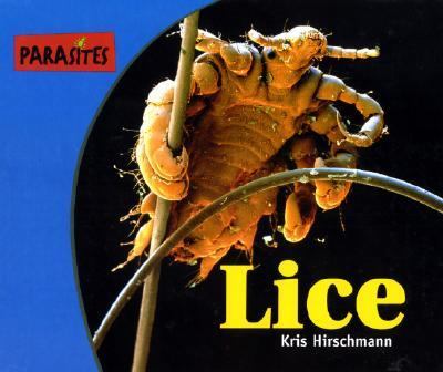 Lice