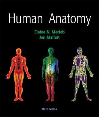 Human Anatomy