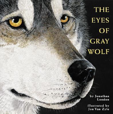 Eyes of Grey Wolf