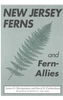 New Jersey Ferns and Fern Allies