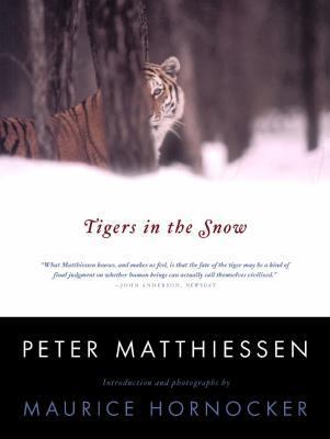 Tigers in the Snow