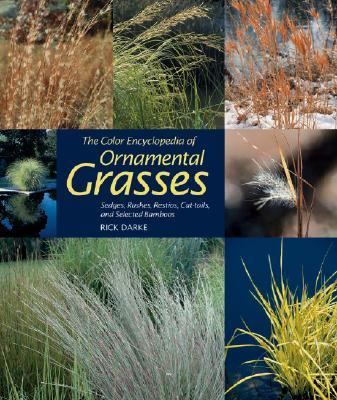 Color Encyclopedia of Ornamental Grasses Sedges, Rushes, Restios, Cat-Tails, and Selected Bamboos