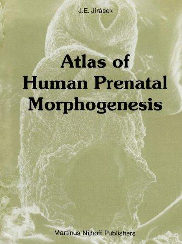 Atlas of Human Prenatal Morphogenesis
