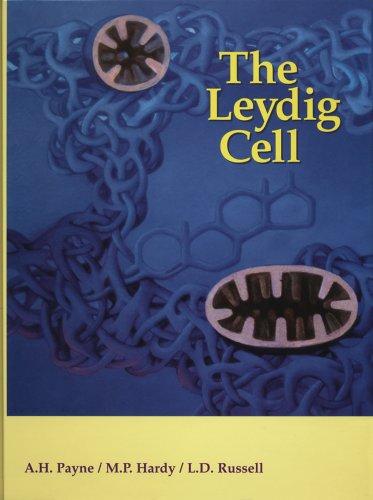 Leydig Cell