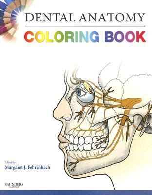 Dental Anatomy Coloring Book