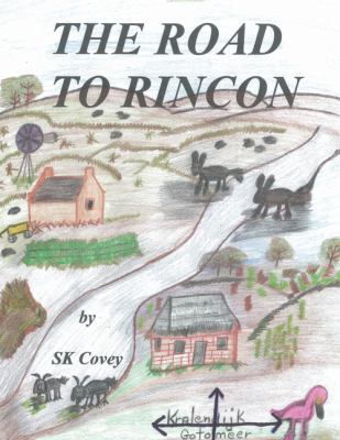 Road to Rincon