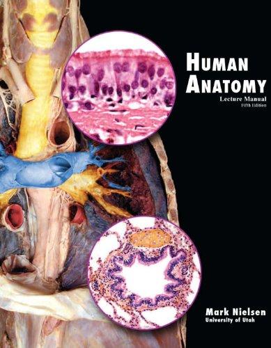 Human Anatomy