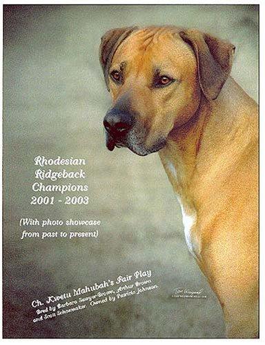 Rhodesian Ridgeback Champions, 2001-2003