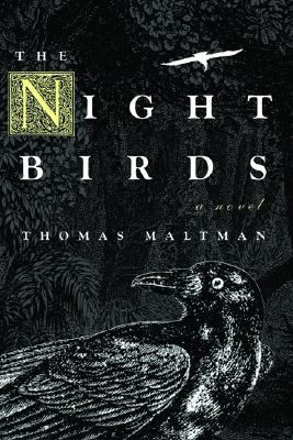 Night Birds 