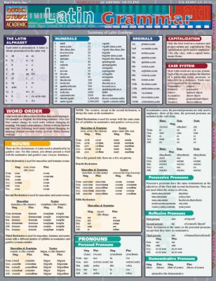 Latin Grammar (Quickstudy: Academic)