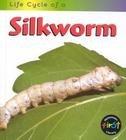 Silkworm (Life Cycle of A...)