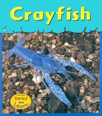 Crayfish