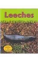 Leeches (Ooey-Gooey Animals)