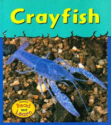 Crayfish (Musty-Crusty Animals)