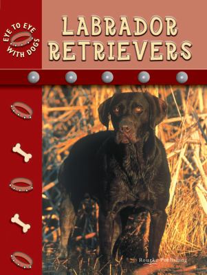 Labrador Retrievers (Rourke's Guide to Dogs)