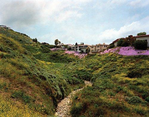 18 Landscapes