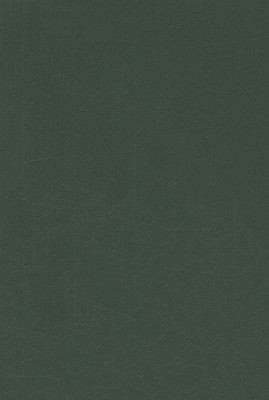 Desirable Literacies: Approaches to Language and Literacy in the Early Years