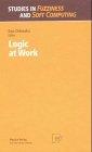 Logic at Work: Essays Dedicated to the Memory of Helena Rasiowa (Studies in Fuzziness and Soft Computing)