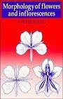 Morphology of Flowers and Inflorescences