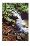 Scenic Tennessee : A Travel Guide to Tennessee's Hidden Natural Treasures