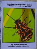 Insects Through the Lens : A Gallery of Insect Photography