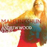 Malfunkshun: Andrew Wood Story