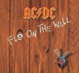 Fly on the Wall