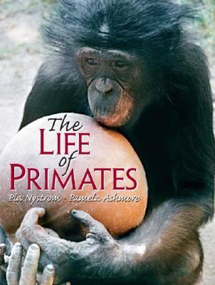 Nonhuman Primates How Much Like Us?